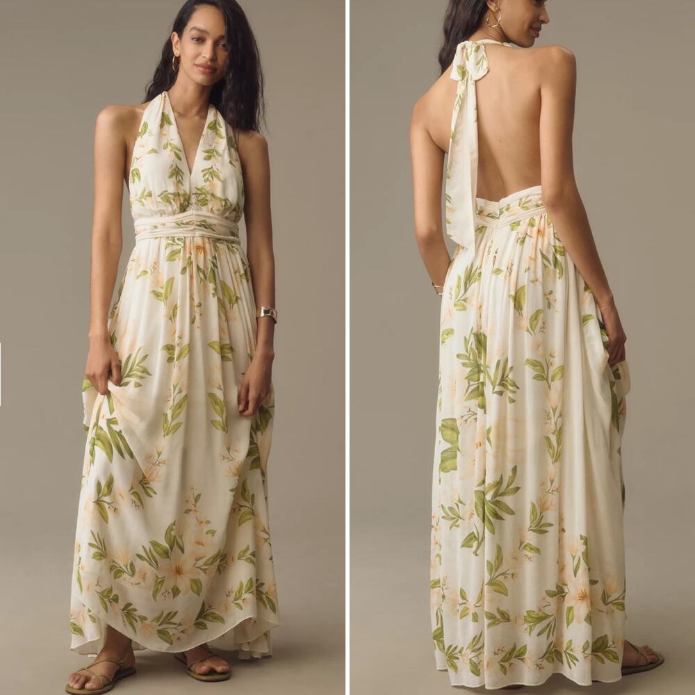 Farm Rio Floral Chiffon Maxi Dress Size M